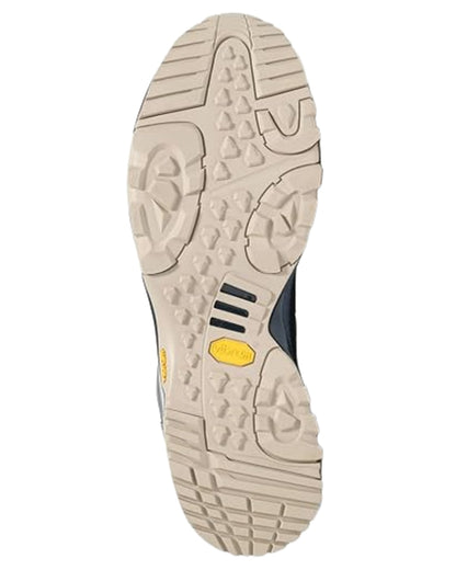 Royal Navy coloured Aigle Mens Pariot GORE-TEX Sneakers on white background 
