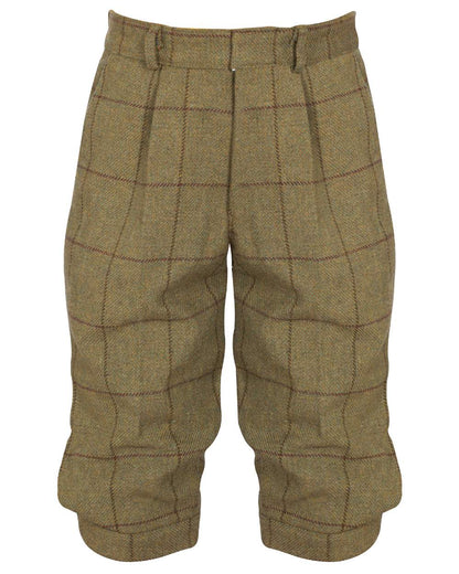 Lichen coloured Alan Paine Childrens Tweed Water Repellent Breeks on white background 