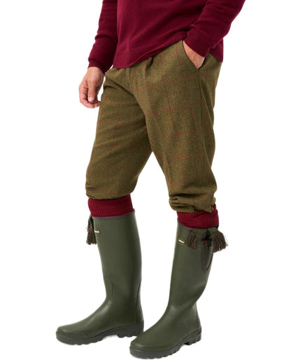 Sage coloured Alan Paine Combrook Breeks on white background 