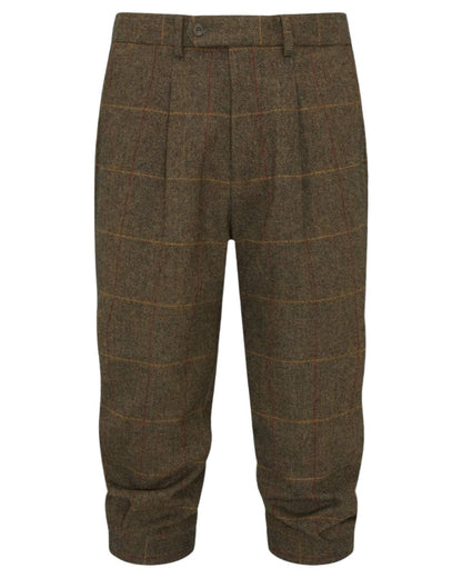 Teak coloured Alan Paine Combrook Breeks on white background 