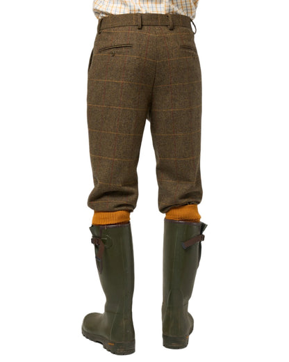 Teak coloured Alan Paine Combrook Breeks on white background 