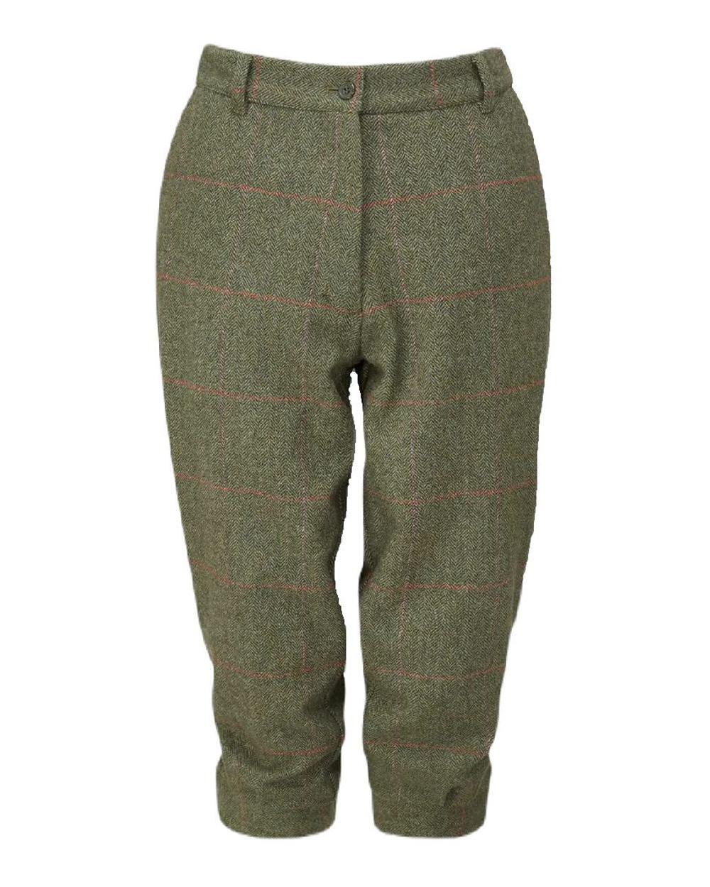 Heath coloured Alan Paine Combrook Ladies Tweed Breeks on white background 