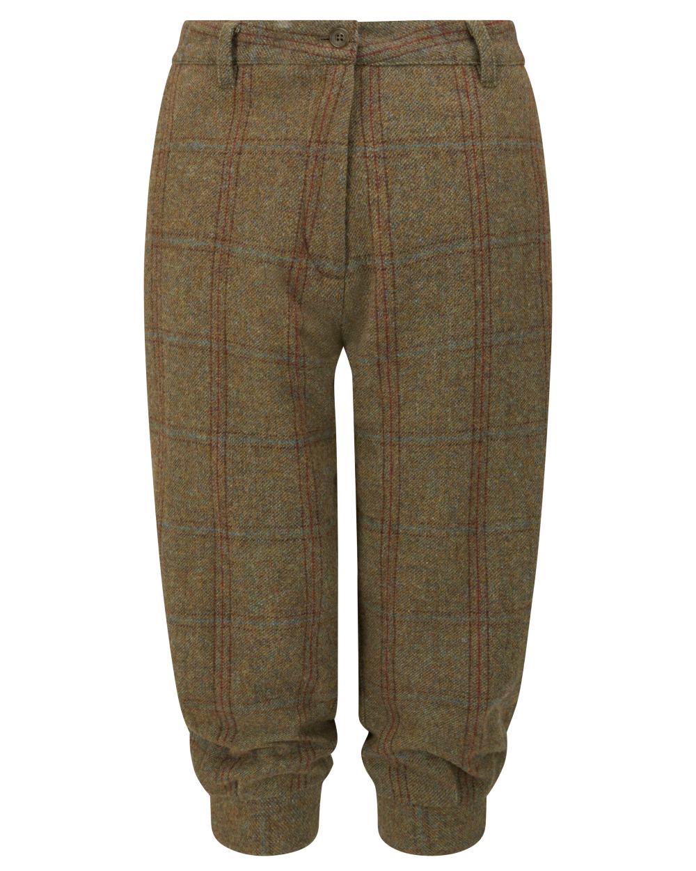 Laurel coloured Alan Paine Combrook Ladies Tweed Breeks on white background 