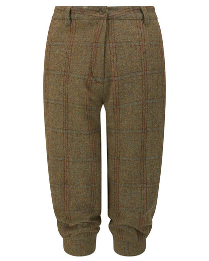 Laurel coloured Alan Paine Combrook Ladies Tweed Breeks on white background 