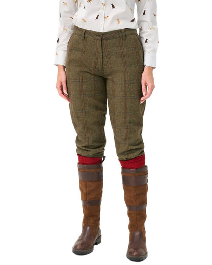 Laurel coloured Alan Paine Combrook Ladies Tweed Breeks on white background 