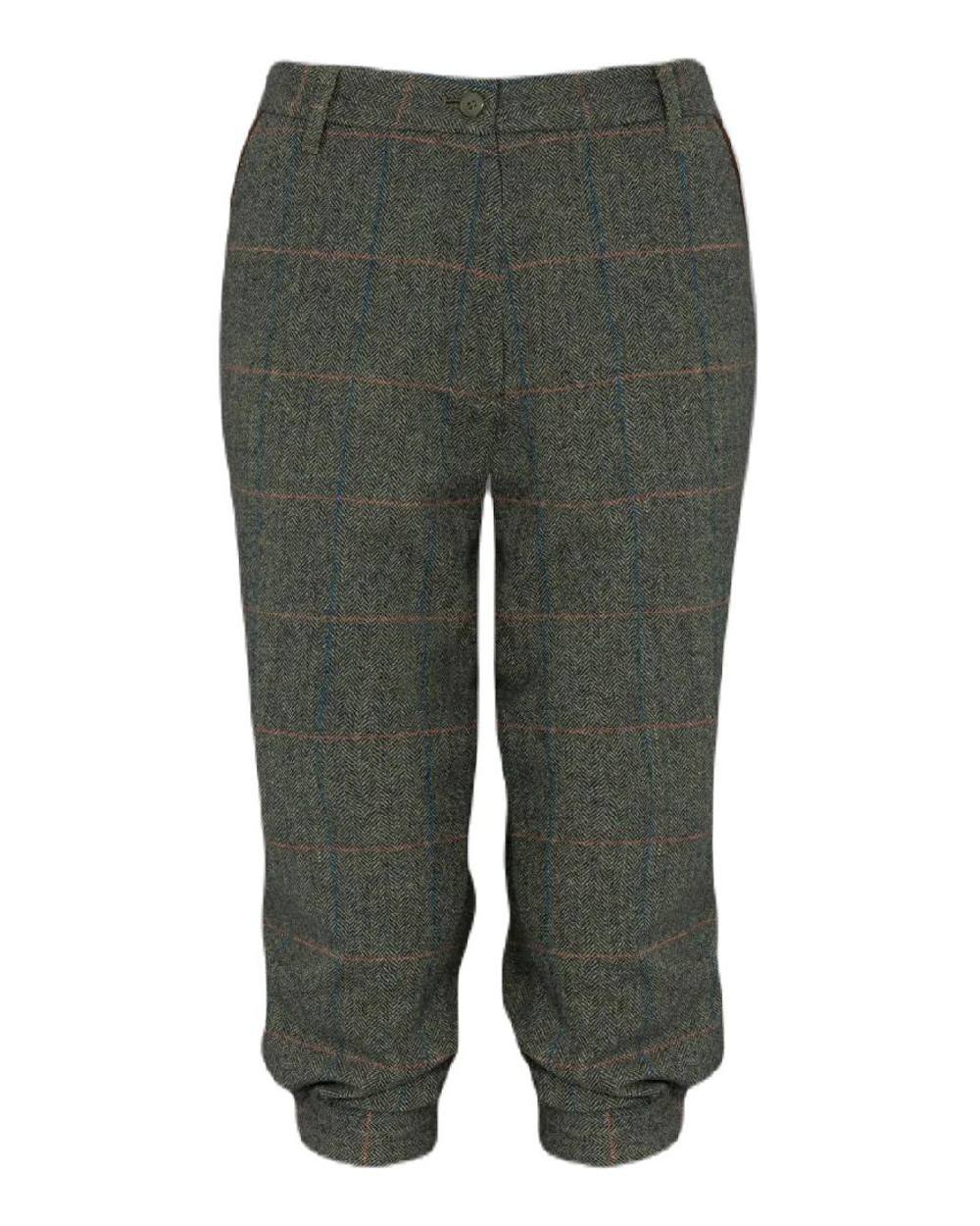 Spruce coloured Alan Paine Combrook Ladies Tweed Breeks on white background 