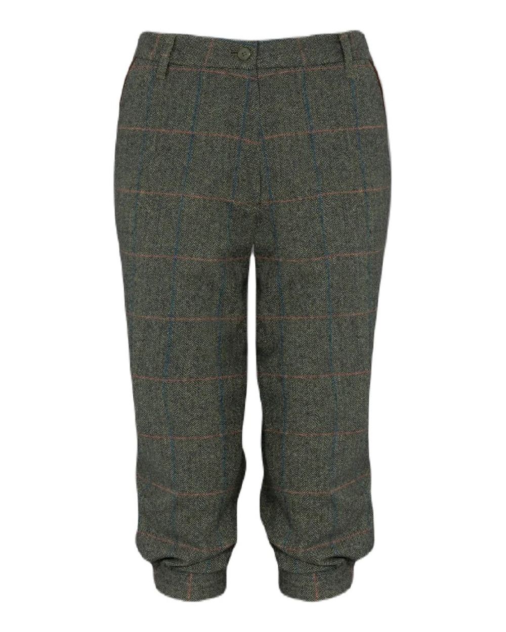 Spruce coloured Alan Paine Combrook Ladies Tweed Breeks on white background 