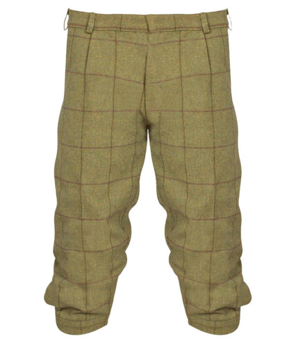 Lichen coloured Alan Paine Rutland Tweed Breeks on white background 