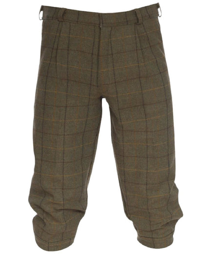 Dark Moss coloured Alan Paine Rutland Tweed Breeks on white background 