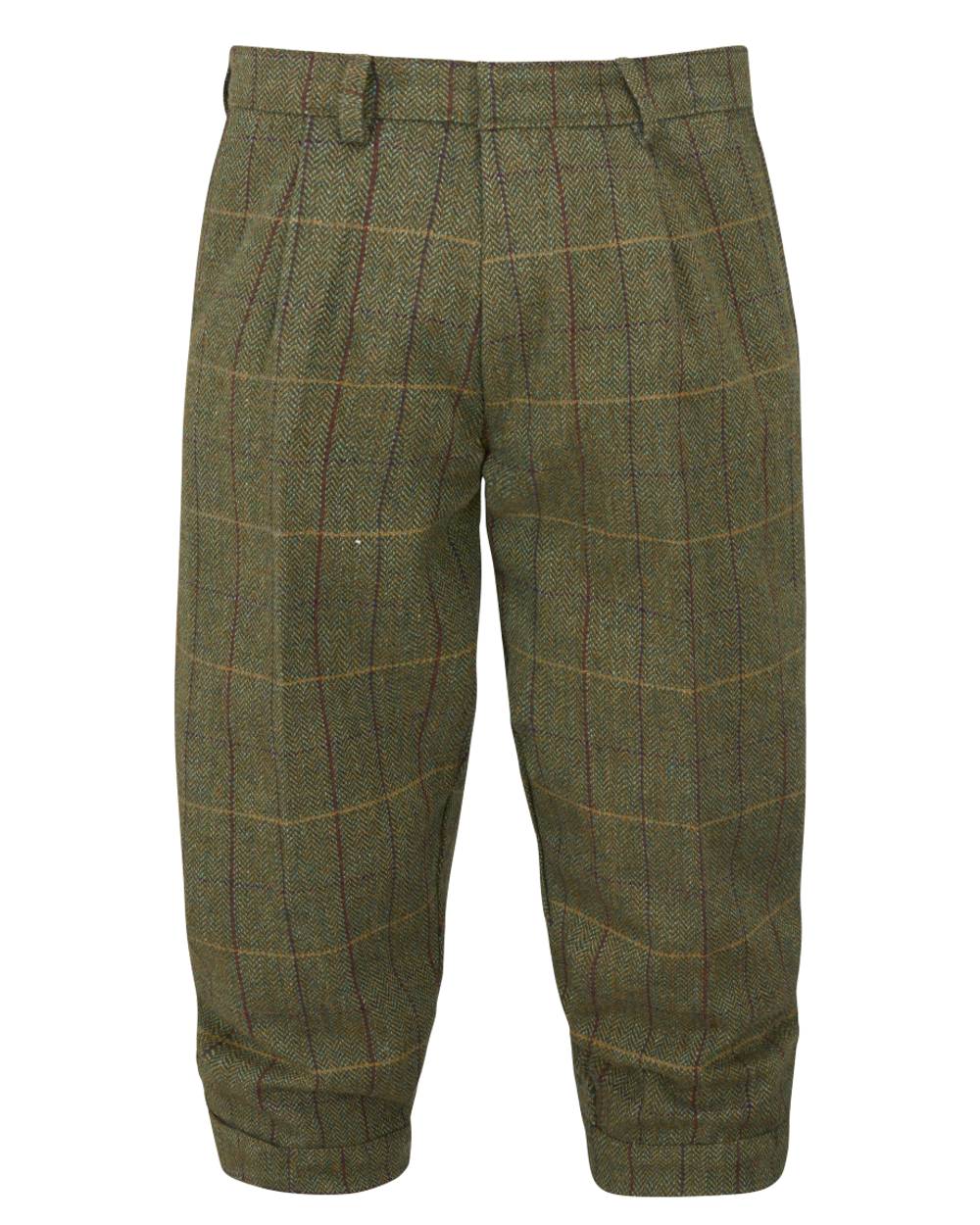 Green Ash coloured Alan Paine Rutland Tweed Breeks on white background 