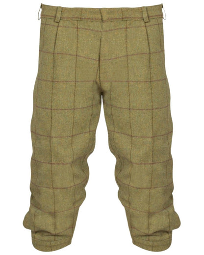 Lichen coloured Alan Paine Rutland Tweed Breeks on white background 