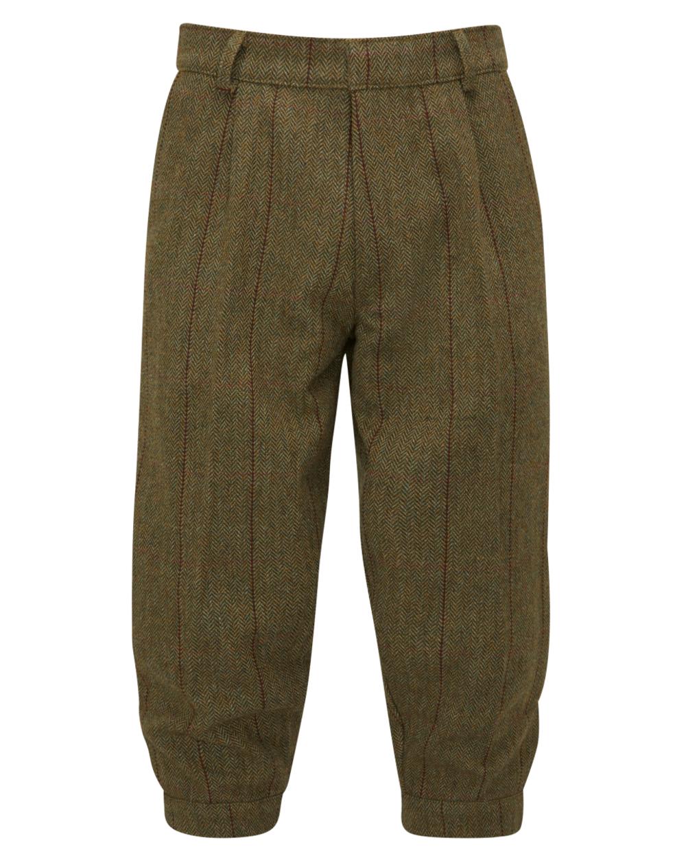 Oak coloured Alan Paine Rutland Tweed Breeks on white background 