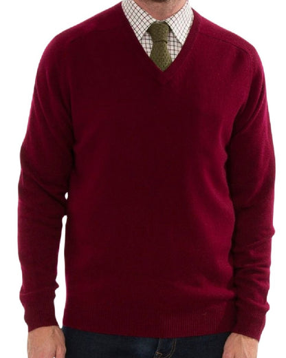 Bordeaux coloured Alan Paine Streetly Lambswool V Neck Jumper on white background 