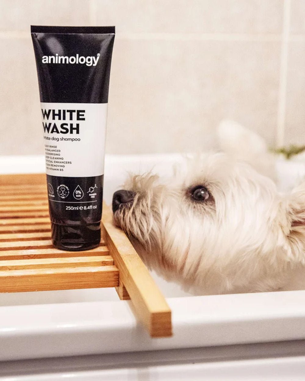 Animology White Wash Shampoo 250ml on white background