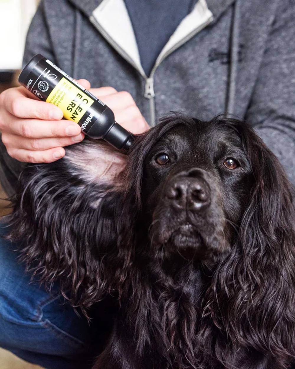 Animology Clean Ears 100ml with dog in background