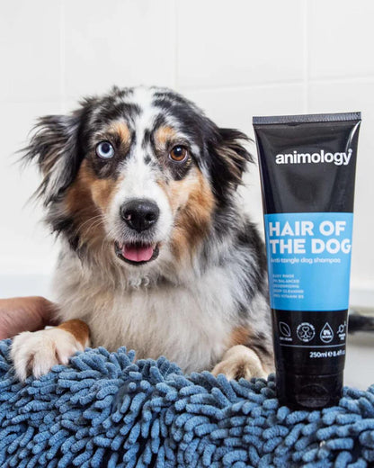 Animology Hair Of The Dog Shampoo 250ml with dog in background