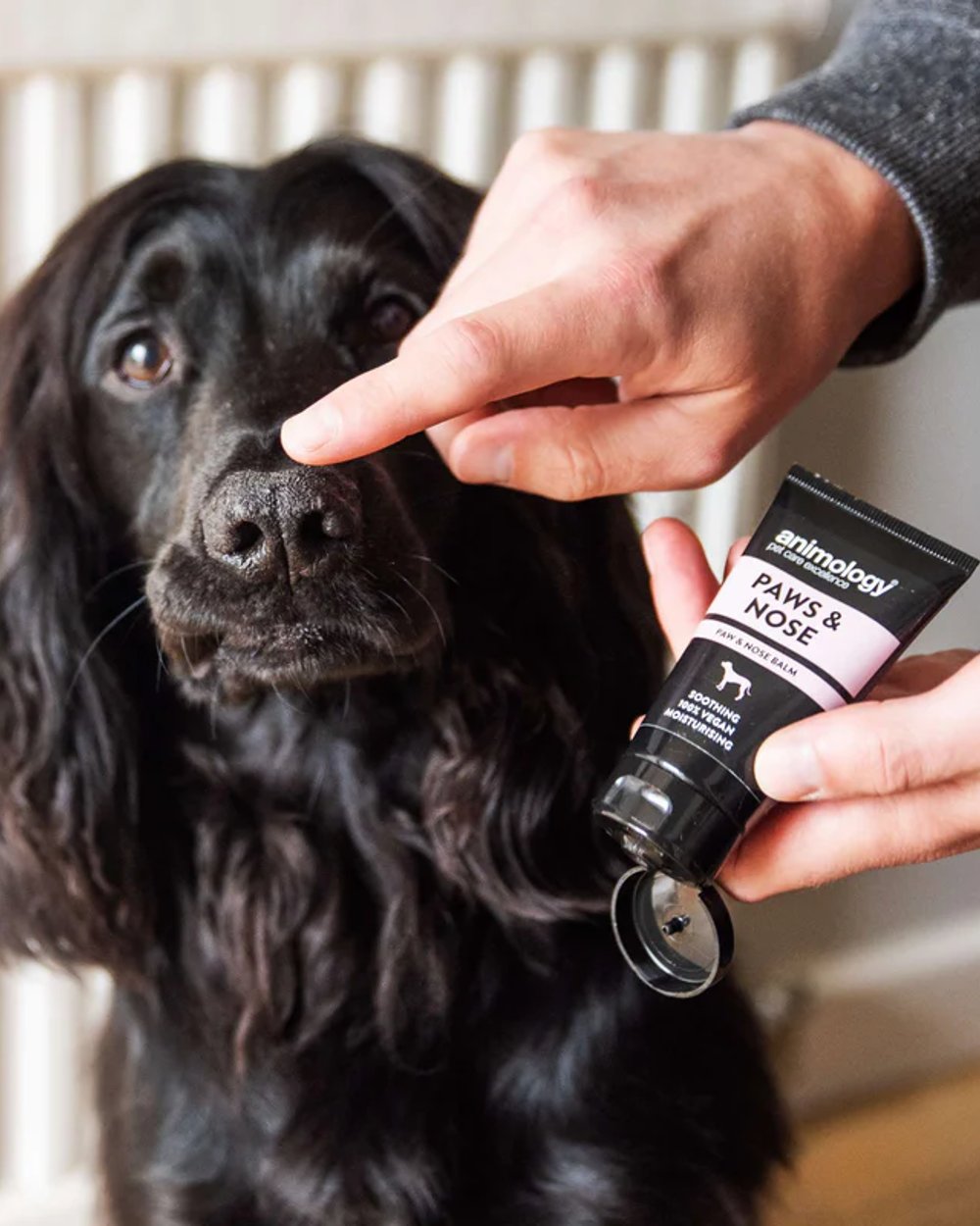 Animology Paw and Nose Balm 50ml with dog in background