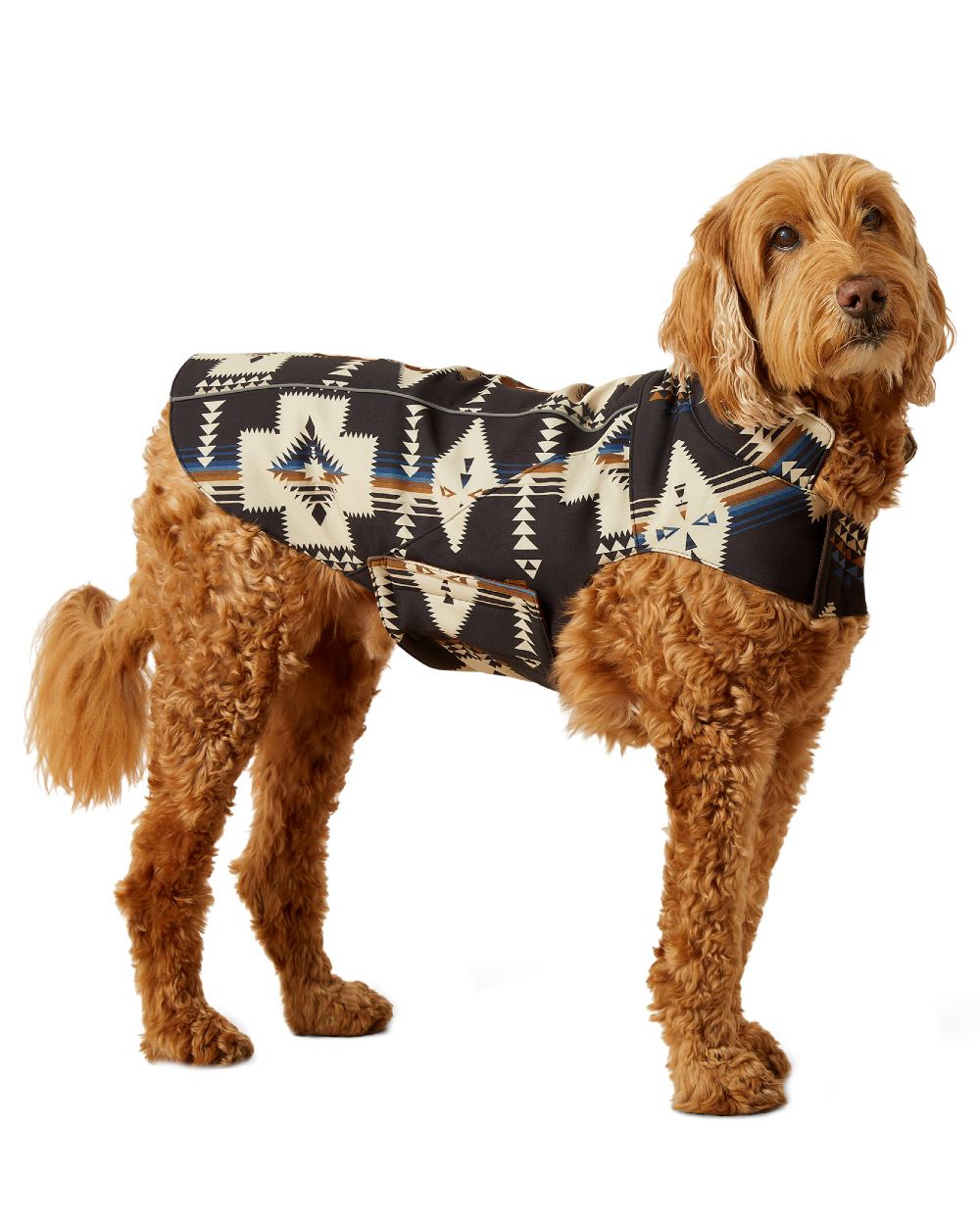 Thornstone Print Coloured Ariat ACC Team Softshell Dog Jacket on white background 