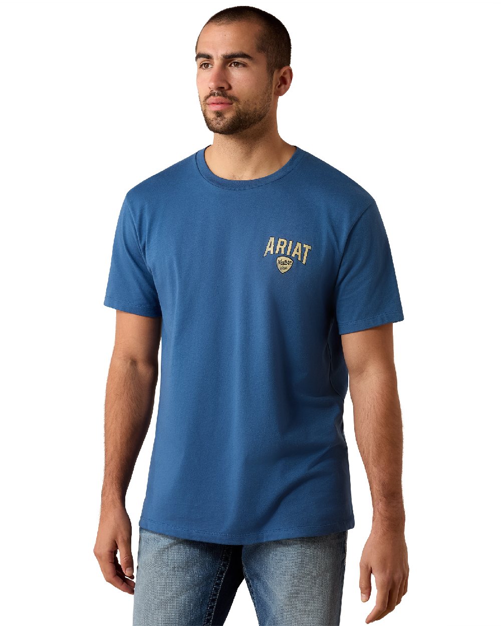 Grisalle coloured Ariat Mens Lone Longhorn T Shirt on white background 