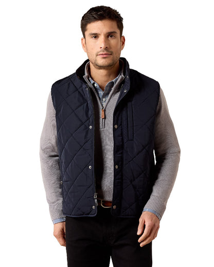 Show Navy coloured Ariat Mens Woodgate Vest on white background 