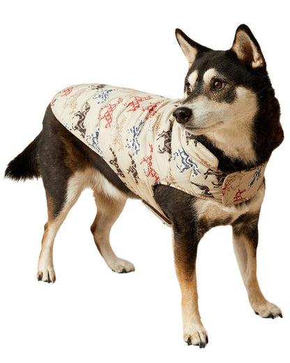 Painted Ponies Print coloured Ariat Pup Puffer Jacket on white background 