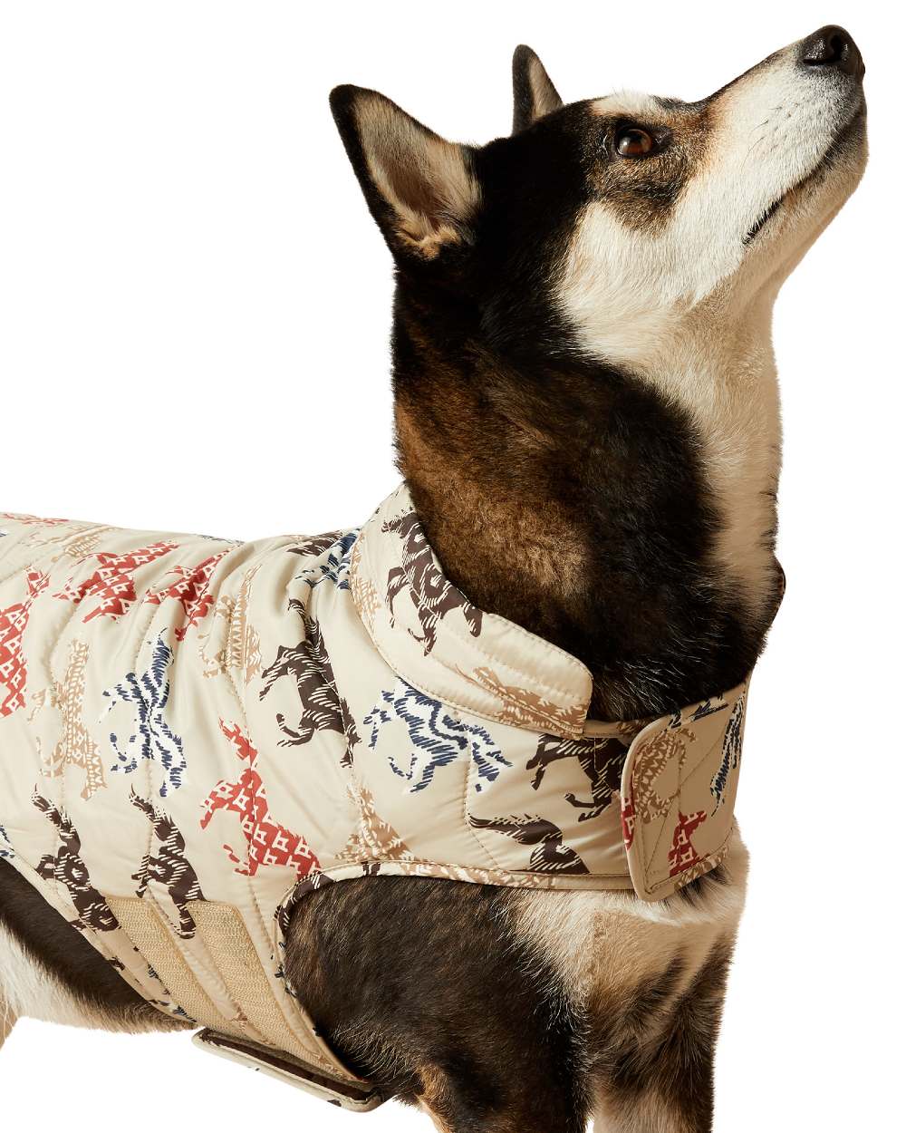 Painted Ponies Print coloured Ariat Pup Puffer Jacket on white background 