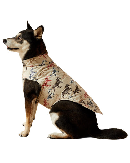 Painted Ponies Print coloured Ariat Pup Puffer Jacket on white background 