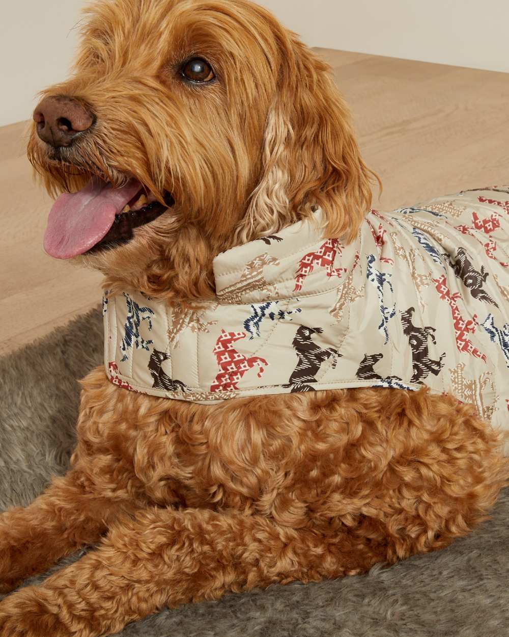 Painted Ponies Print coloured Ariat Pup Puffer Jacket on floor background 