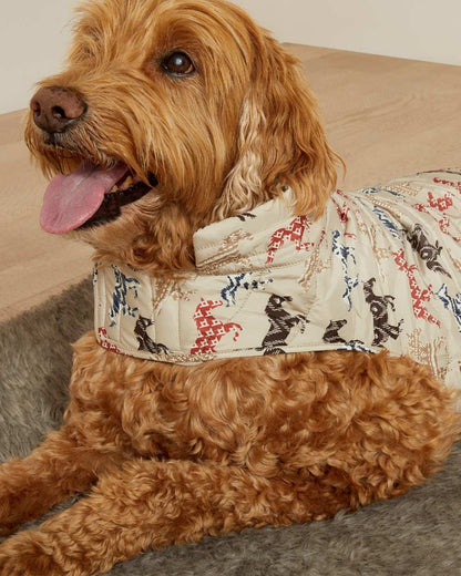 Painted Ponies Print coloured Ariat Pup Puffer Jacket on floor background 