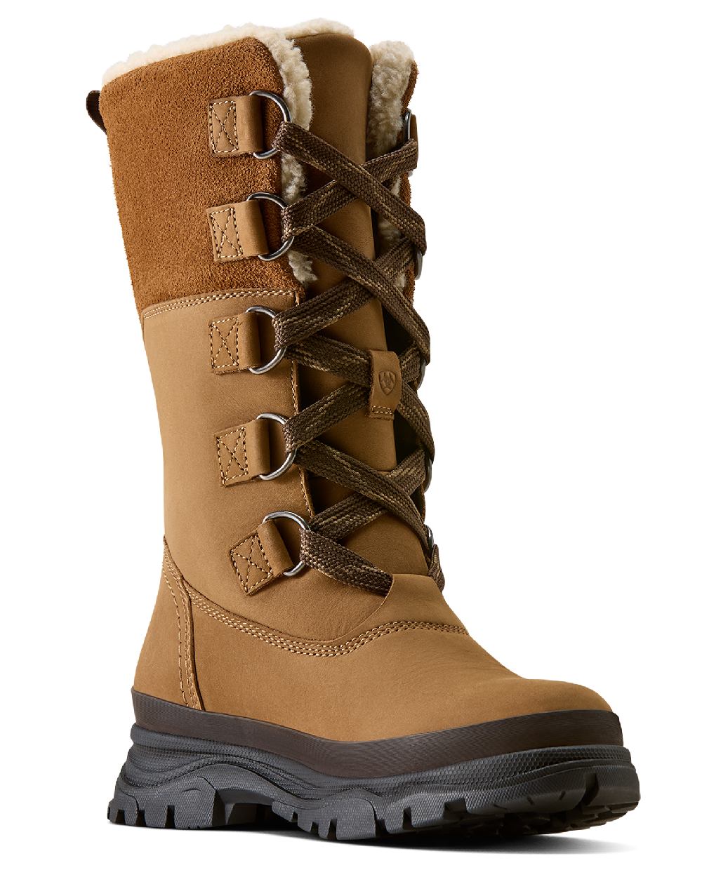Dark Earth coloured Ariat Womens Wetherby Waterproof Insulated Boots on white background 