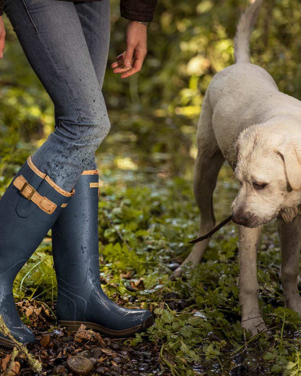 Navy coloured Ariat Womens Burford Wellington Boots on white background 