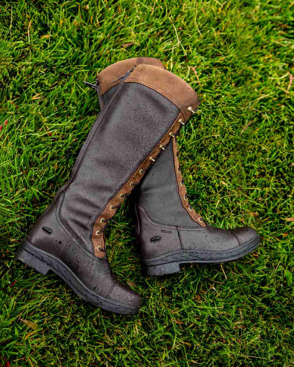 Ebony Brown Coloured Ariat Womens Coniston Max Waterproof Insulated Boot on grass background 
