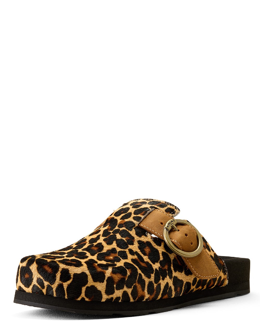 Leopard Hair On coloured Ariat Womens Country Mules on white background 
