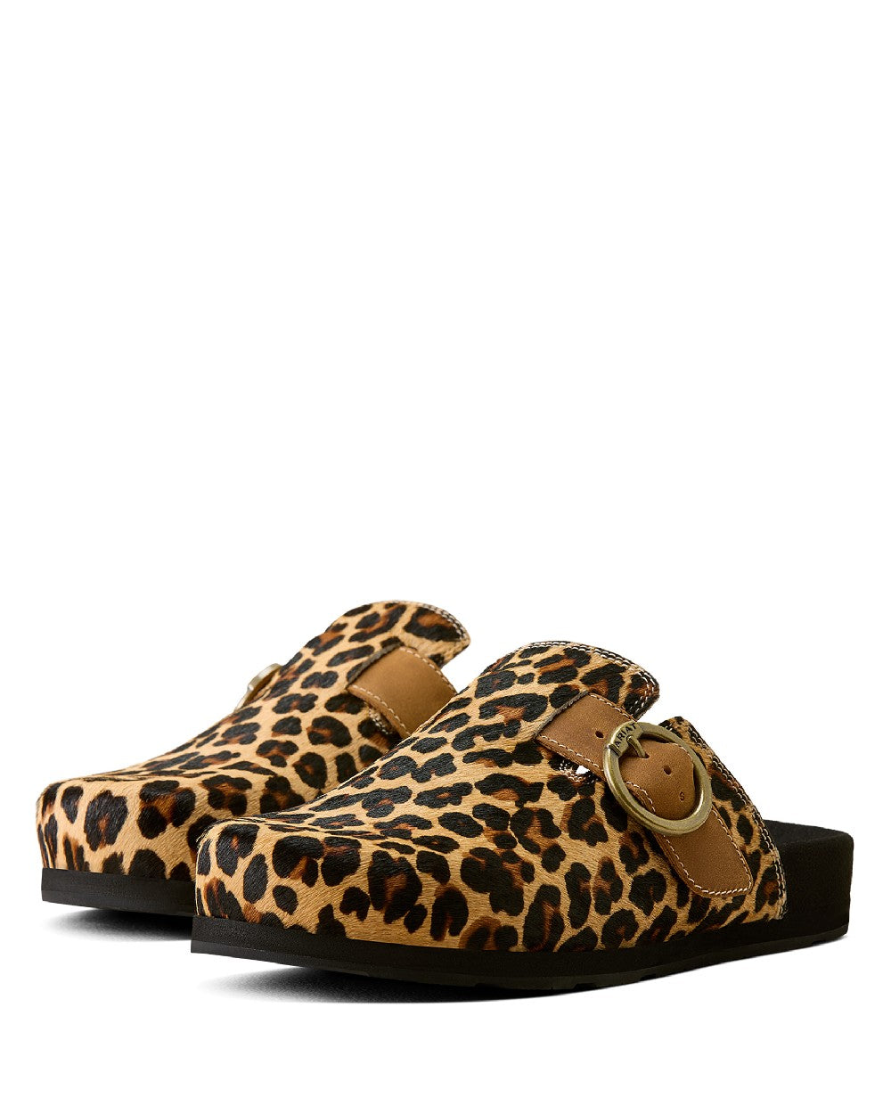 Leopard Hair On coloured Ariat Womens Country Mules on white background 