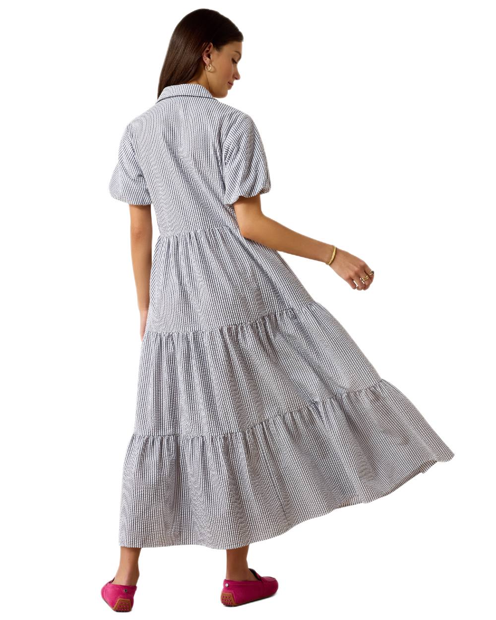 Navy White Stripe coloured Ariat Womens Dovestone Dress on white background 