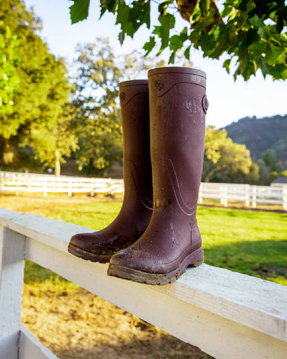 Maroon coloured Ariat Womens Kelmarsh Wellington Boots on Horse Pen background 