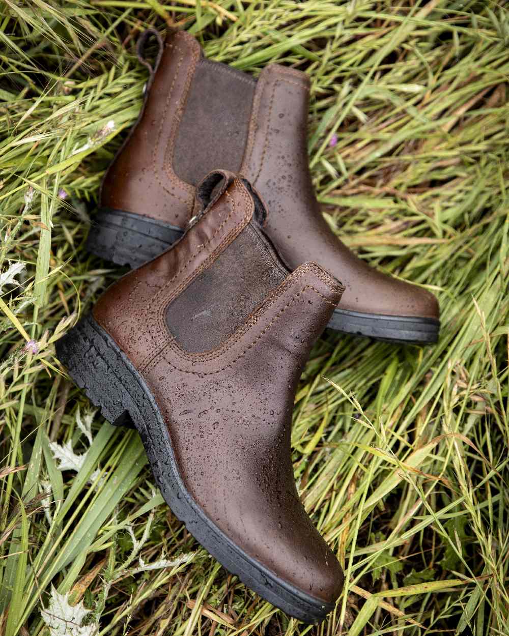 Tobacco Brown coloured Ariat Womens Langley Waterproof Chelsea Boots on forest background 