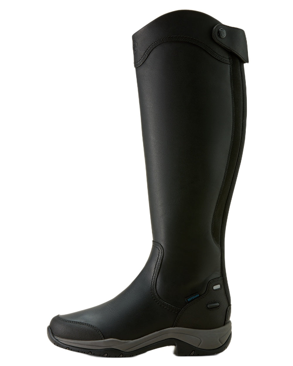 Black coloured Ariat Womens Telluride Tall Waterproof Boots on white background 