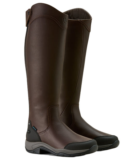 Dark Brown coloured Ariat Womens Telluride Tall Waterproof Boots on white background 