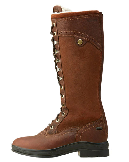 Dark Brown Coloured Ariat Wythburn Tall Waterproof Boots On A White Background 