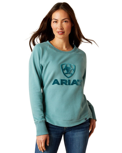 Ariat Womens Benicia Sweatshirt in Arctic 