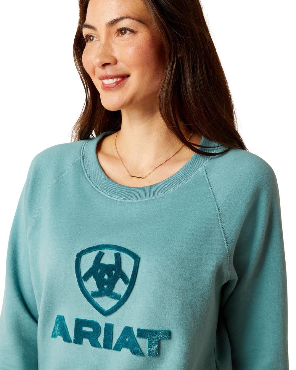 Ariat Womens Benicia Sweatshirt in Arctic 