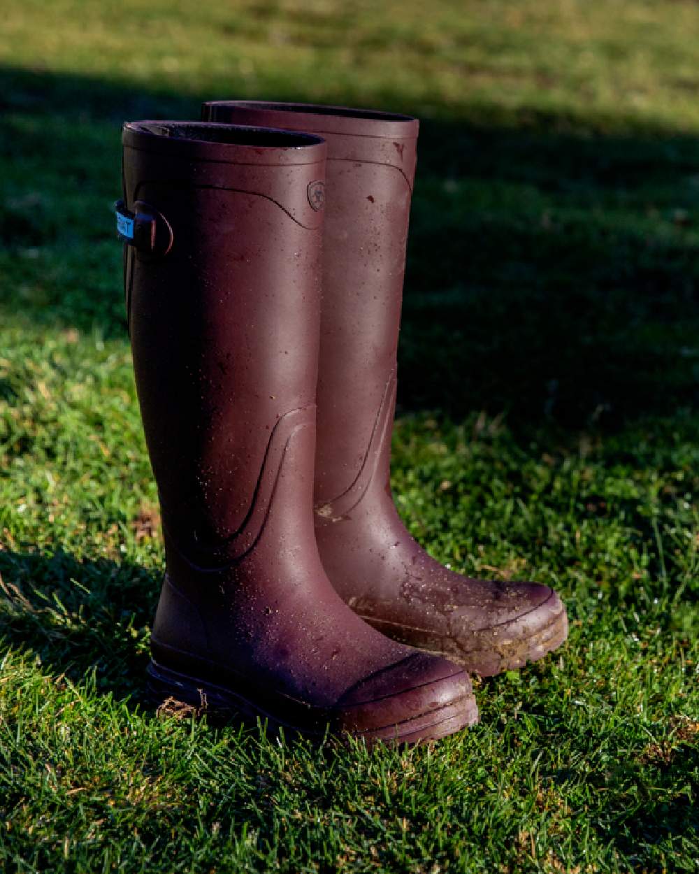 Maroon coloured Ariat Womens Kelmarsh Wellington Boots on Grassy background 