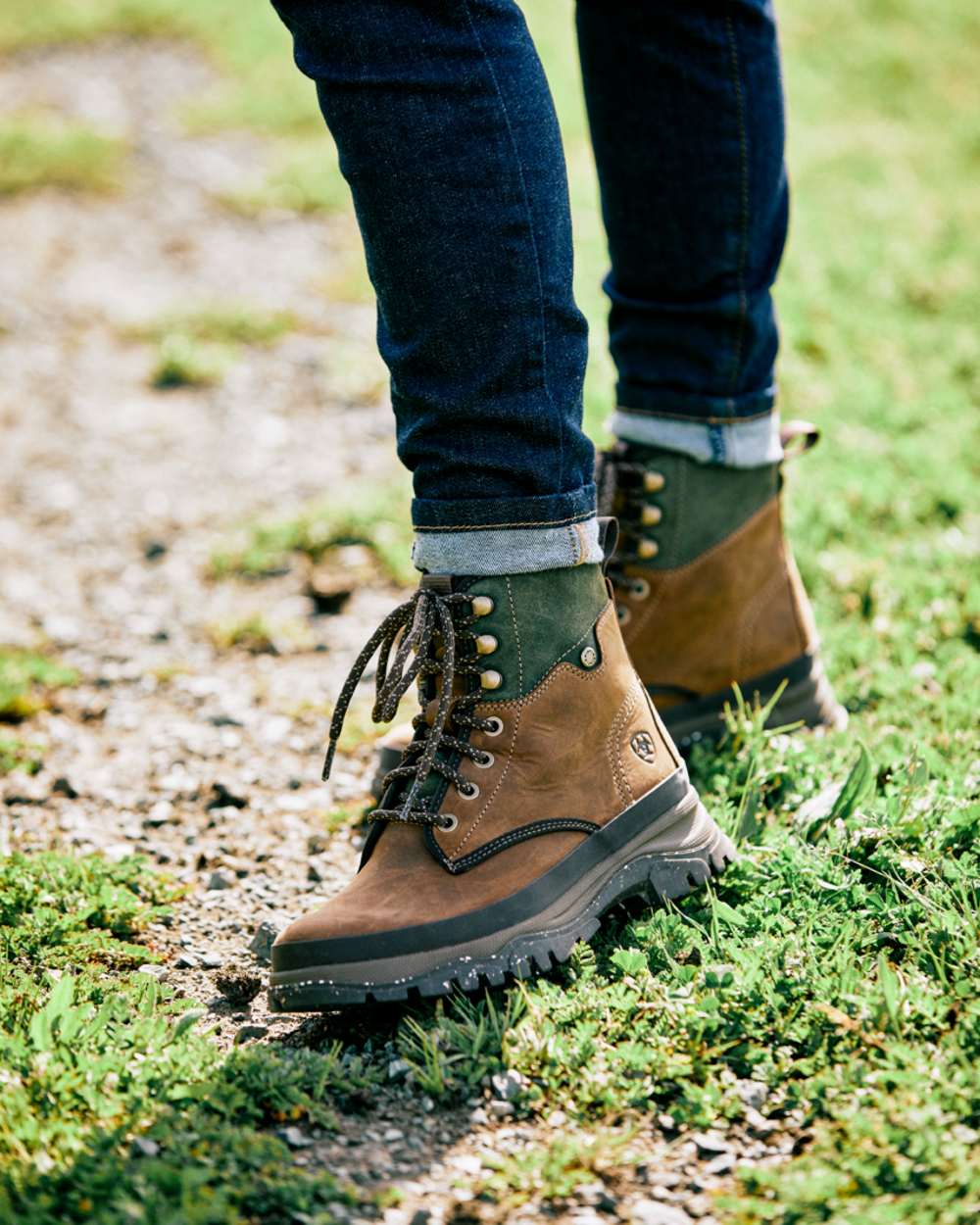 Ariat Womens Moresby Waterproof Boots in Oily Distressed Brown/Olive 