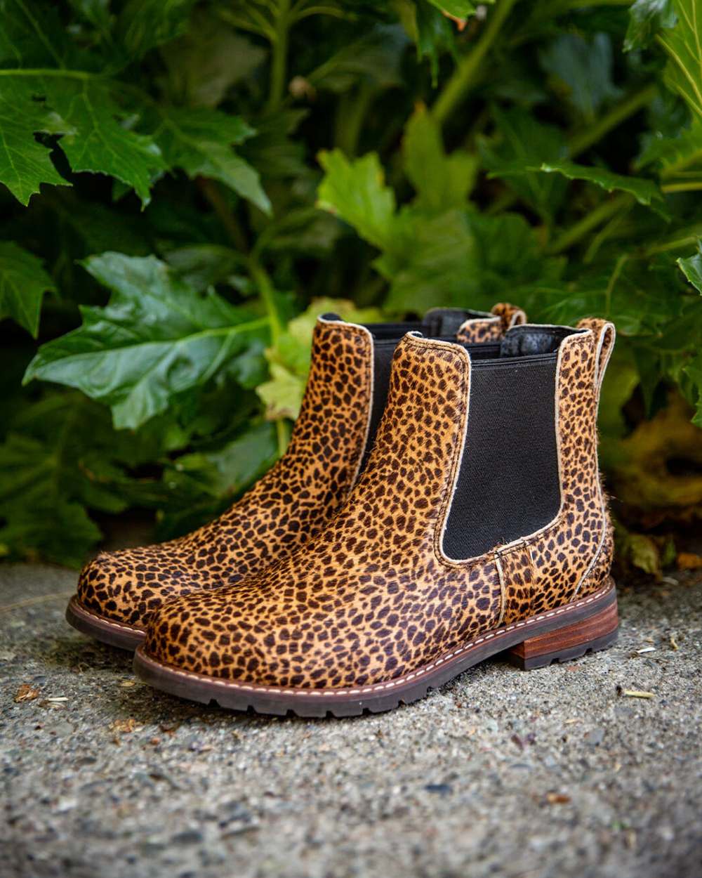 Ariat Womens Wexford Chelsea Boots in Cheetah Hair On 