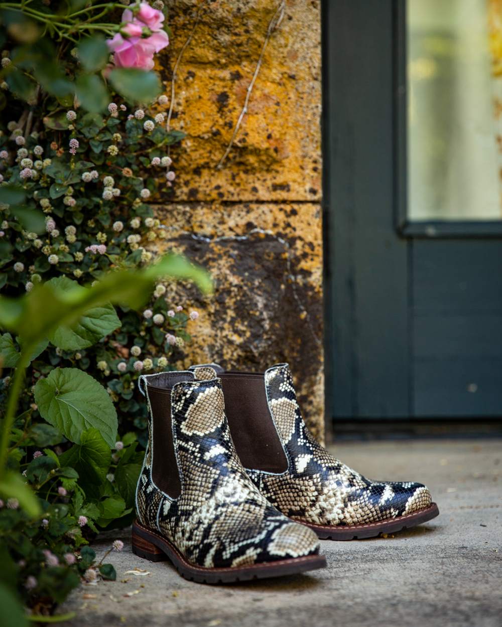 Ariat Womens Wexford Chelsea Boots in Snake Print 