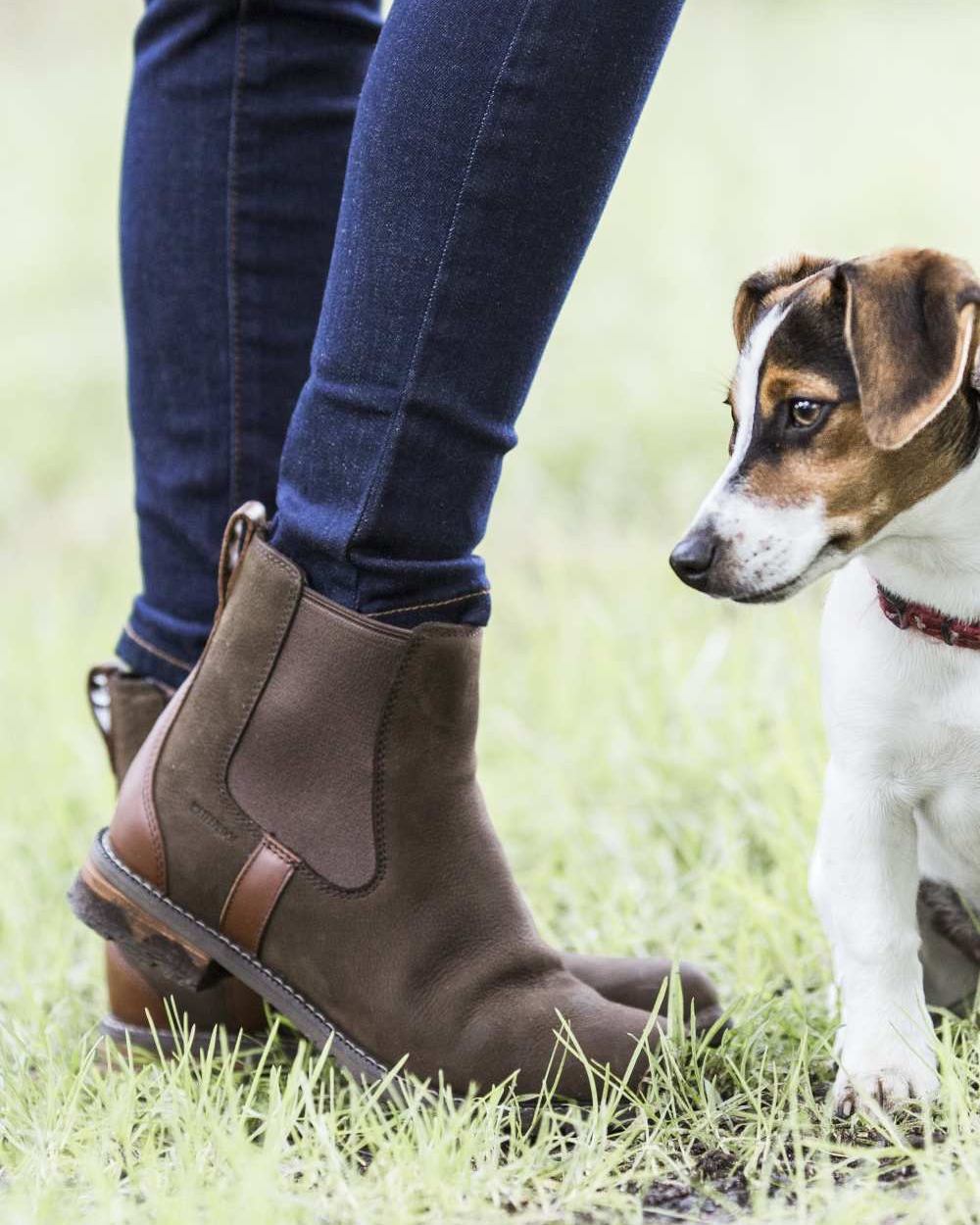 Ariat Womens Wexford Waterproof Boots in Java 