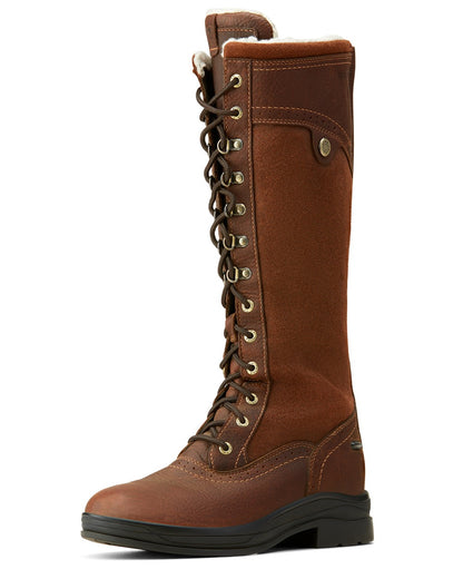 Dark Brown coloured Ariat Wythburn Tall Waterproof Boots on white background 