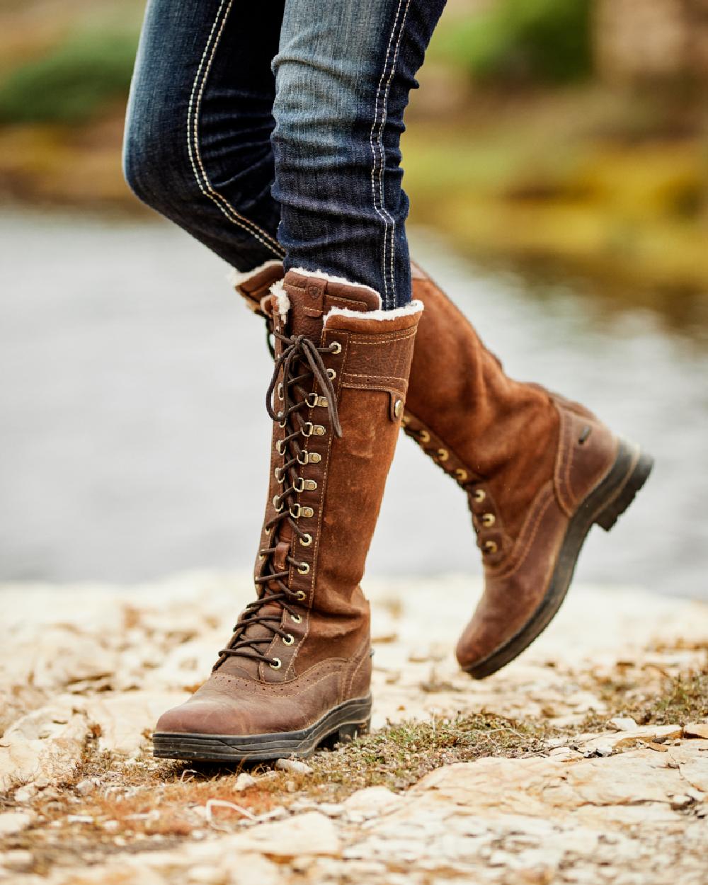 Dark Brown coloured Ariat Wythburn Tall Waterproof Boots on countryside background 