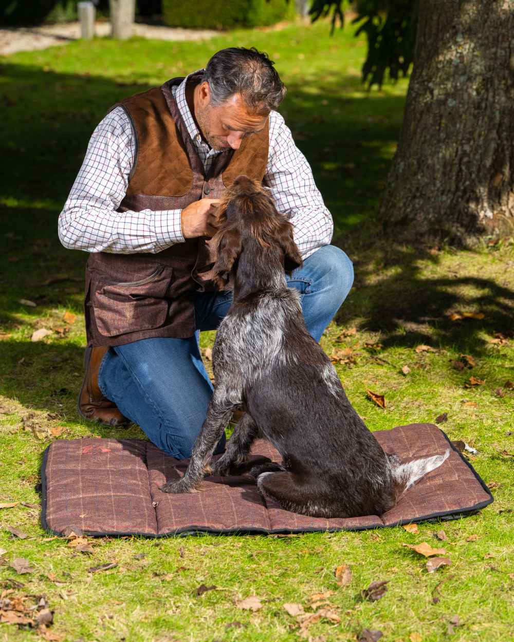 Check Brown Coloured Baleno Dog Bed on park background 